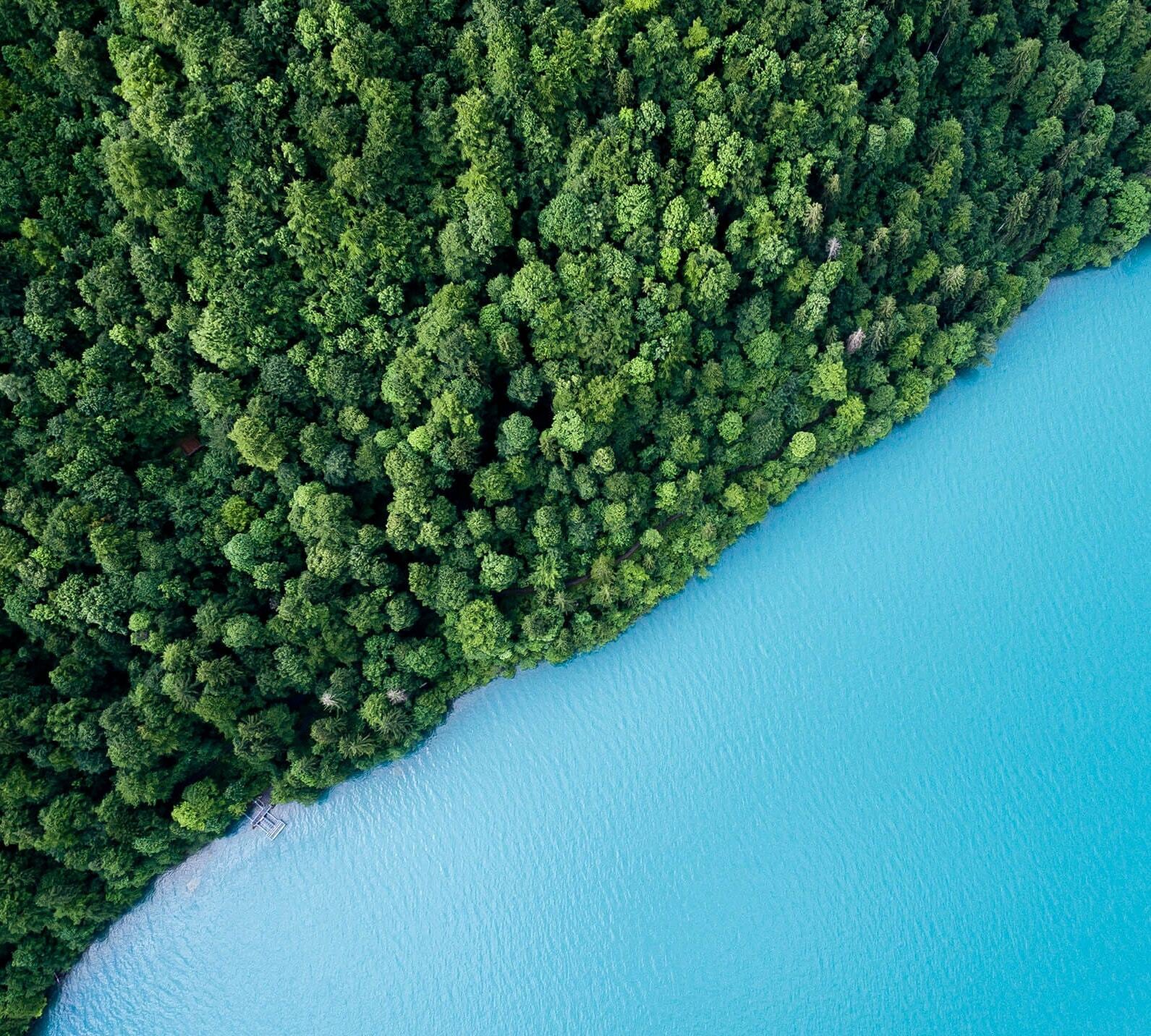 company specializing in supporting the transformation of plastic waste into environmentally friendly marine fuel