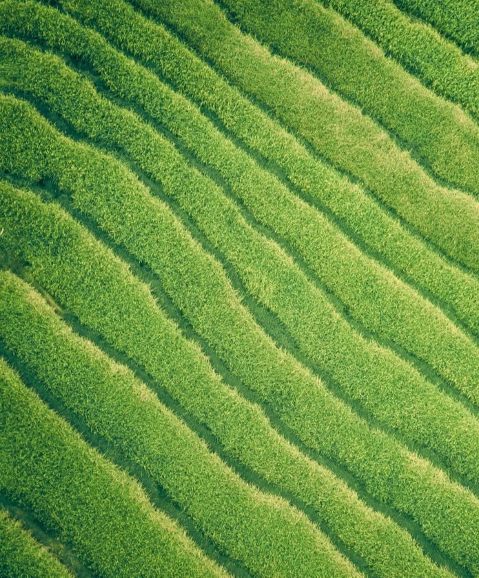 company specializing in supporting the transformation of plastic waste into environmentally friendly marine fuel